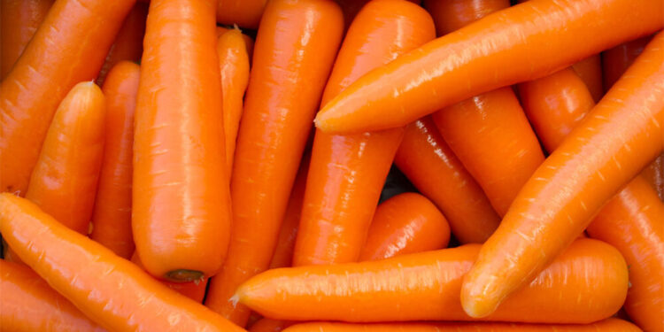 Organik havuçlarda E. coli bakterisi tespit edildi