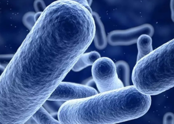 ABD’de ‘listeria’ bakterisinden dolayı bir bebek hayatını kaybetti