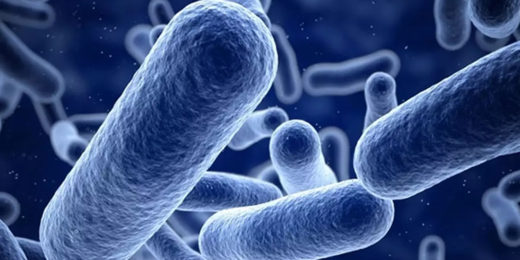 ABD’de ‘listeria’ bakterisinden dolayı bir bebek hayatını kaybetti