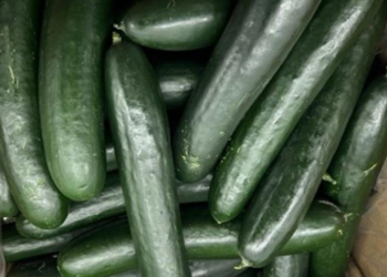 ABD’nin salatalıklar salmonella riski nedeniyle incelemeye alındı