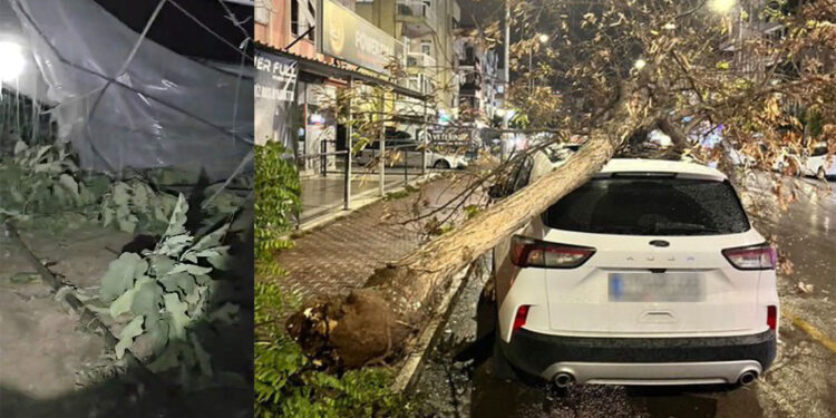 Fırtına nedeniyle ağaçlar devrildi, seralar yıkıldı