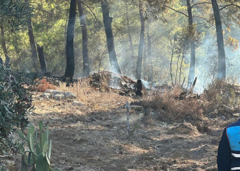 Ormana düşen hava aracı yangına neden oldu
