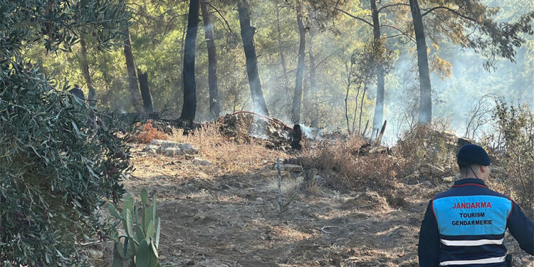 Ormana düşen hava aracı yangına neden oldu