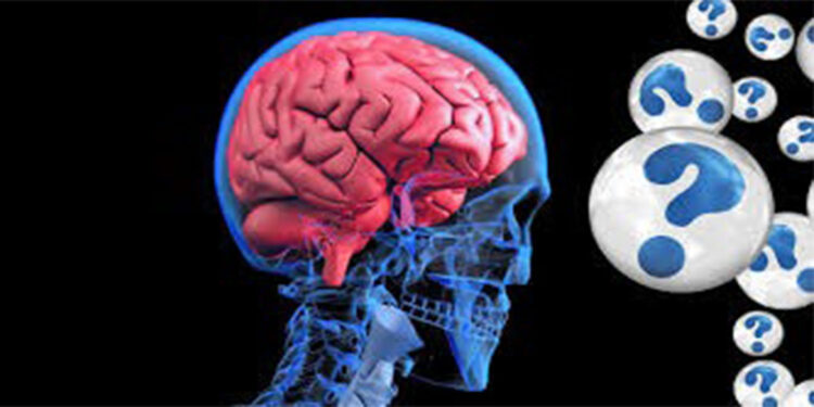 Anılar sadece beyinde saklanmıyor