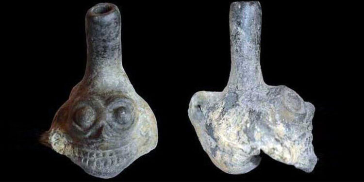 Aztek ölüm düdüklerinin beyin üzerindeki etkisi incelendi