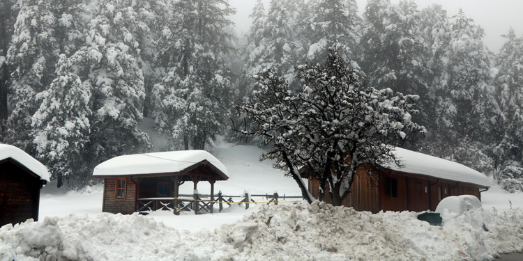 Abant Gölü Milli Parkı'nda kar güzelliği