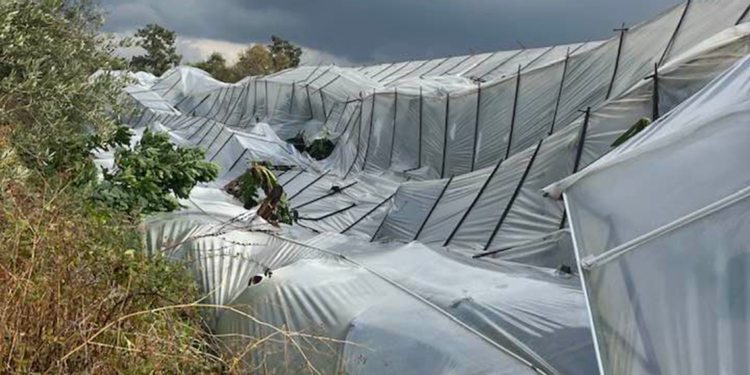 Alanya'da sağanak ve fırtına; evler su doldu, seralar yıkıldı