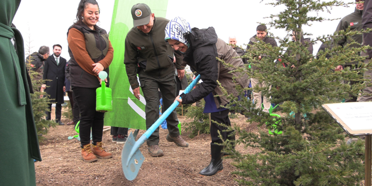 Ankara'da 'Gazze Hatıra Ormanı' oluşturuldu