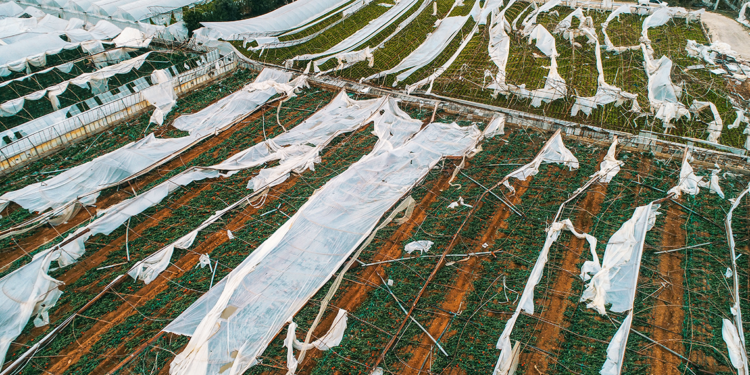 Antalya'da fırtına ve hortum sebze fiyatlarını etkileyecek