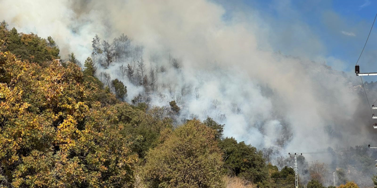 Antalya'nın Kumluca ilçesinde orman yangını çıktı