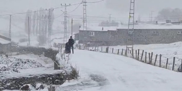 Ardahan'ın yüksek kesimlerinde kar yağışı ve tipi