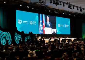 BM İklim Değişikliği Çerçeve Sözleşmesi 29'uncu Taraflar Konferansı başladı