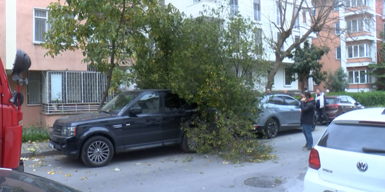 Bakırköy'de şiddetli rüzgarda 2 aracın üzerine ağaç devrildi
