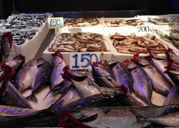 Balık tezgahlarında iri hamsi umudu