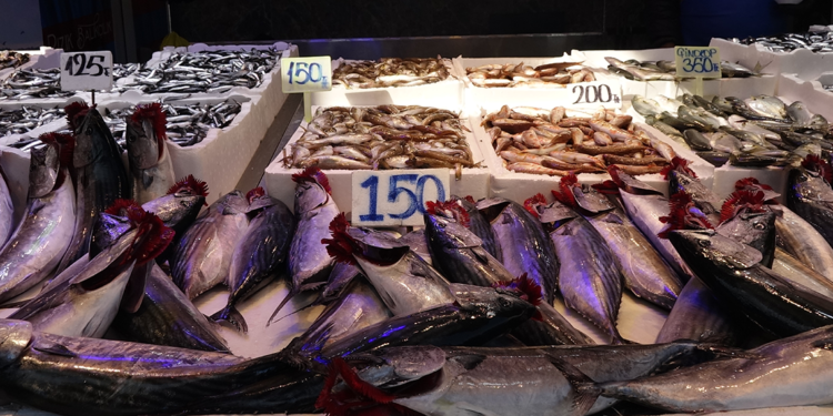 Balık tezgahlarında iri hamsi umudu