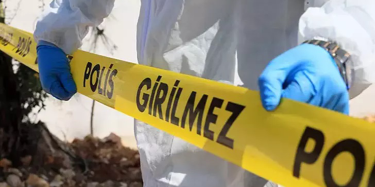 Birlikte karavanda yaşadığı sevgilisini öldürüp, intihar etti