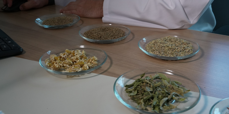 Bitki çayları sindirim sistemi sağlığına katkı sağlıyor