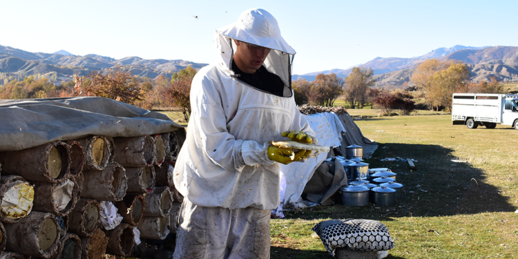 Bitlis'te kara kovan balının hasadına başlandı