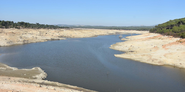 Bodrum'u besleyen 2 baraj kuruma noktasına geldi