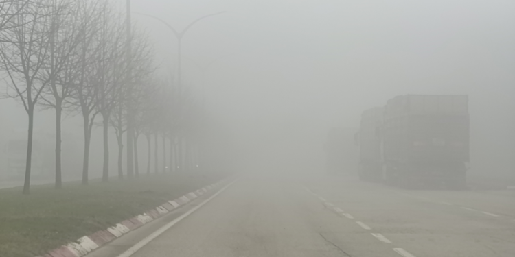 Bursa'da yoğun sis; görüş mesafesi 20 metreye kadar düştü