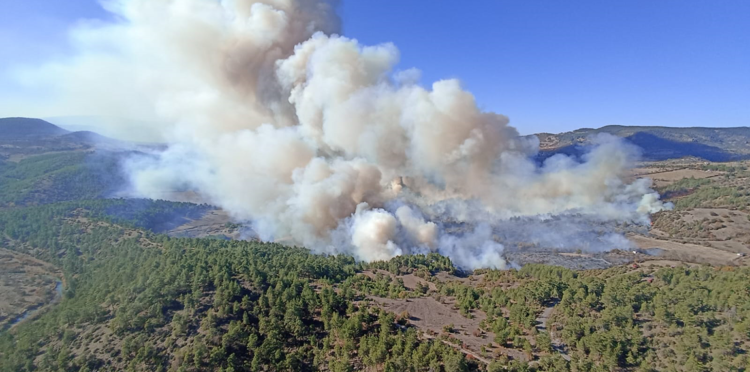 Bursa'da çıkan orman yangını Balıkesir'e sıçradı