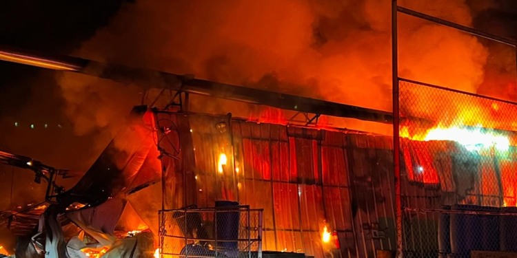 California'da orman yangını