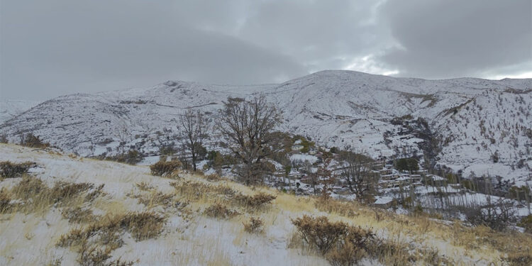Diyarbakır'ın 5 ilçesinde kar yağışı etkili oldu