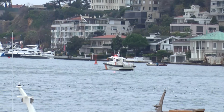 Denize düşerek kaybolan kardeşleri arama çalışmaları sürüyor 