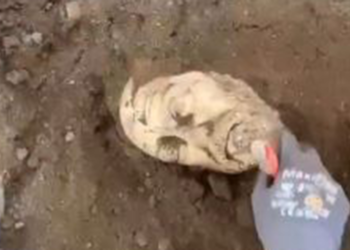 Denizli'de gövdesi bulunan heykelin başı da gün yüzüne çıkarıldı