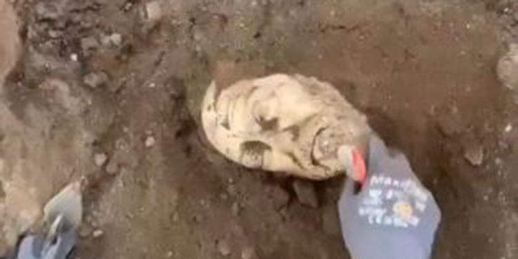 Denizli'de gövdesi bulunan heykelin başı da gün yüzüne çıkarıldı