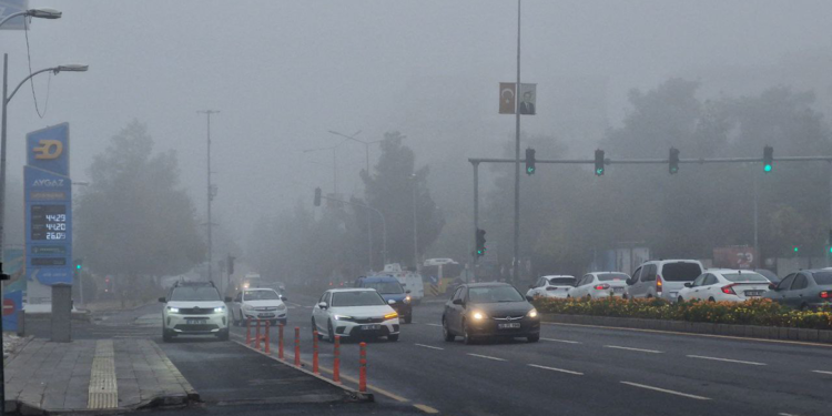 Diyarbakır'da sis nedeniyle uçak seferleri aksadı