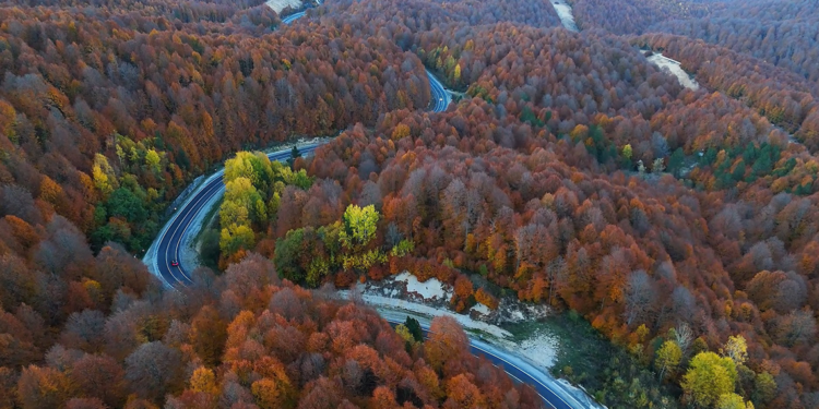 Domaniç Dağları'na uzanan 'kıvrımlı yollar'da sonbahar güzelliği