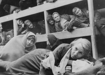 Dünya tarihindeki unutulmaz bir leke 'Naziler'