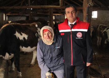 Erzincan'da kayıtlı 7 bin 817 çiftçiden 1400'ü kadın