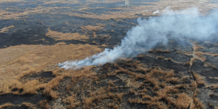 Eber Gölü'nde 1 haftadır süren sazlık yangını söndürüldü