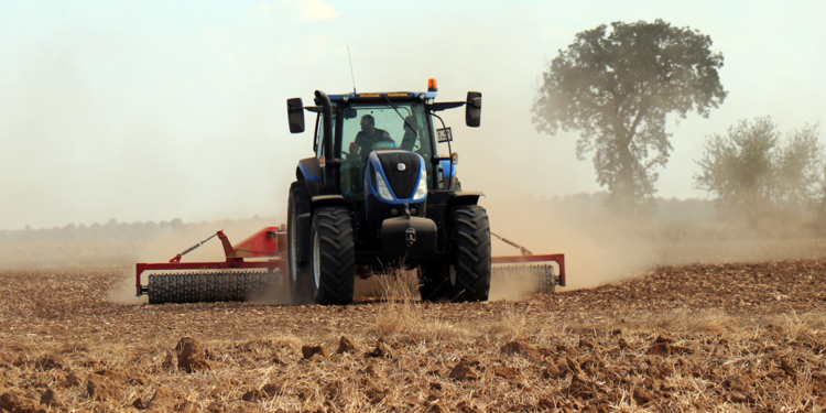 Ekim mesaisi biten buğdayda, üreticinin gözü yağışlarda