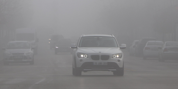 Erzurum'da sis ve soğuk hava etkili oldu