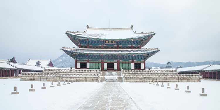 Güney Kore'de 100 yılın en yoğun kar yağışı etkili oldu