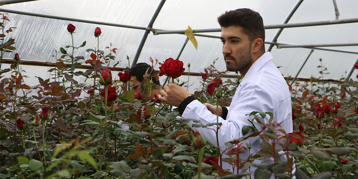 OMÜ Ziraat Fakültesi Bahçe Bitkileri Bölümü Dr. Öğr. Üyesi Mehmet Tütüncü, hamsi atıklarını değerlendirerek çevre dostu organik gübre geliştirdi.