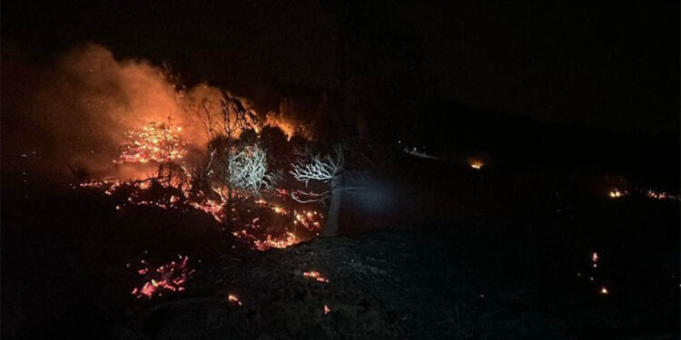 Hatay'daki orman yangınında 5 hektar alan tahrip oldu