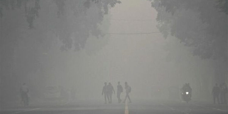 Yeni Delhi'de hava kirliliği tehlikeli boyutlarda
