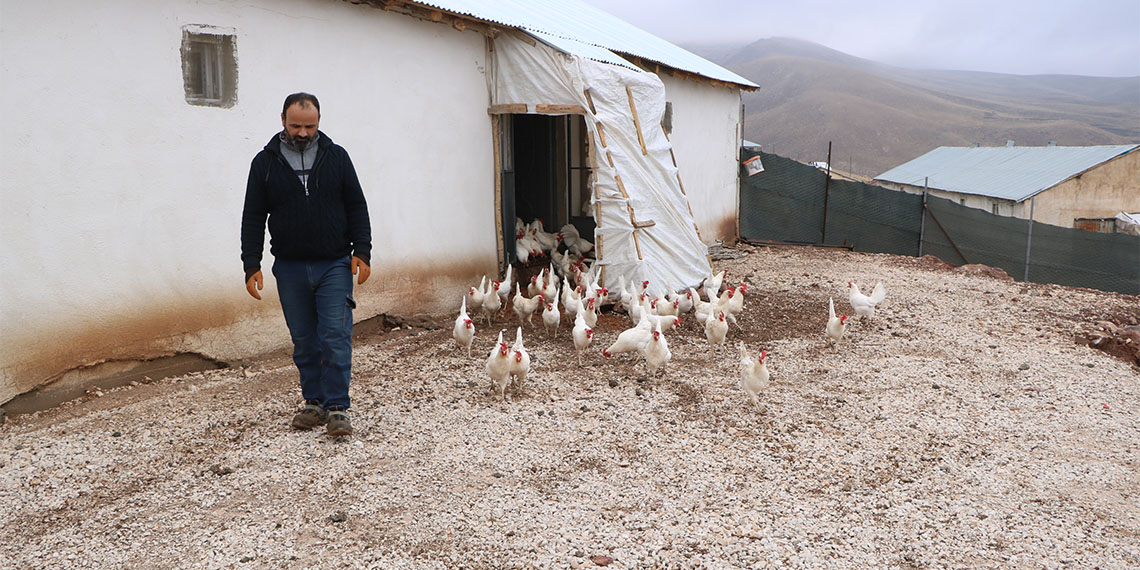 Elektrik ustası Fatih Yüksekova (42) hobi amaçlı 10 tavuk aldı, 3 yılda hayvan sayısını bine çıkarıp organik yumurta üreticisi oldu.