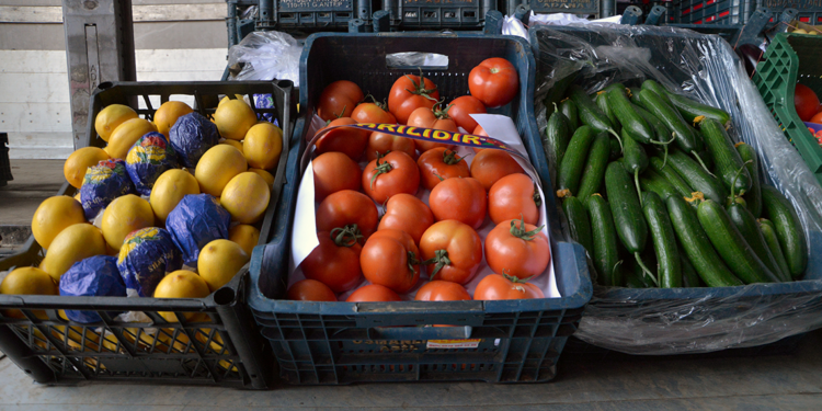 Halde 40 liraya satılan salatalık, market rafında 87 lira