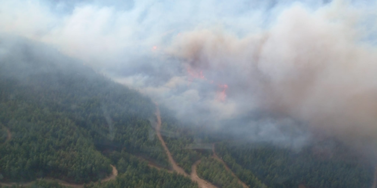 Hatay'ın Arsuz ilçesinde orman yangını