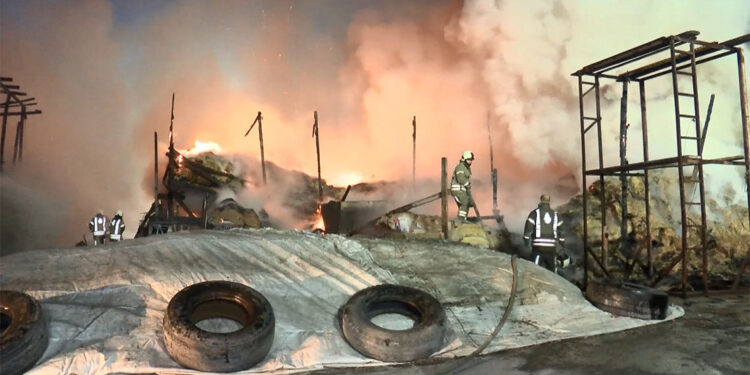 Esenyurt'ta ahırda çıkan yangında, kurbanlıklar telef oldu