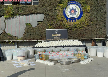 İstanbul'da narkotik operasyonu; köpek uyuşturucudan zehirlendi