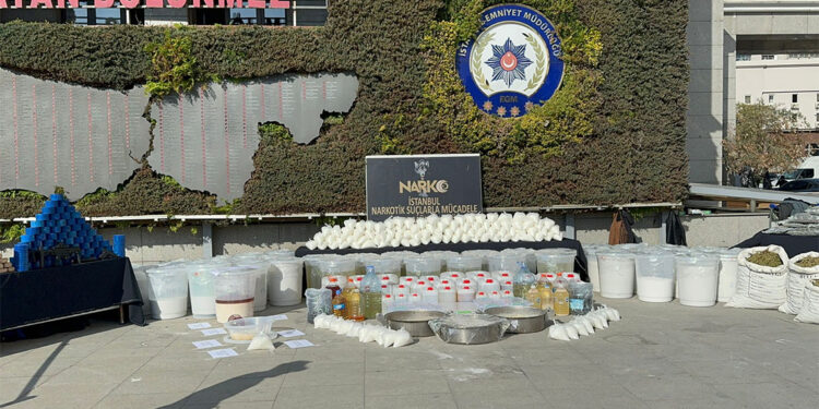 İstanbul'da narkotik operasyonu; köpek uyuşturucudan zehirlendi