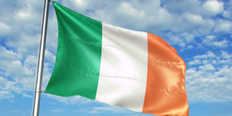 İrlandalılar erken genel seçim için yarın sandığa gidiyor