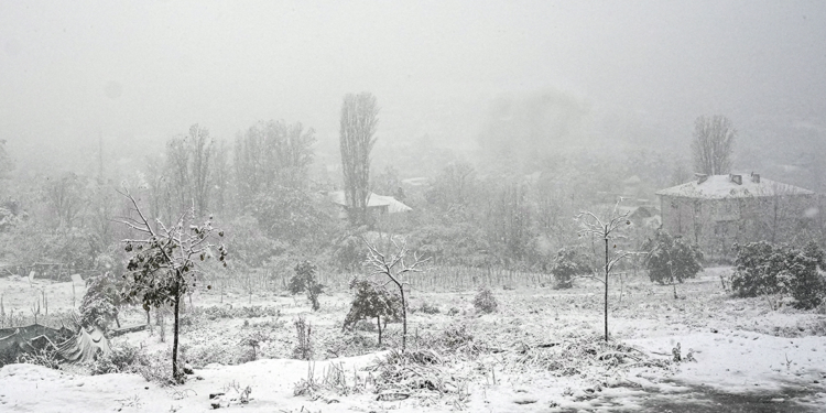 İstanbul'da kar yağışı başladı