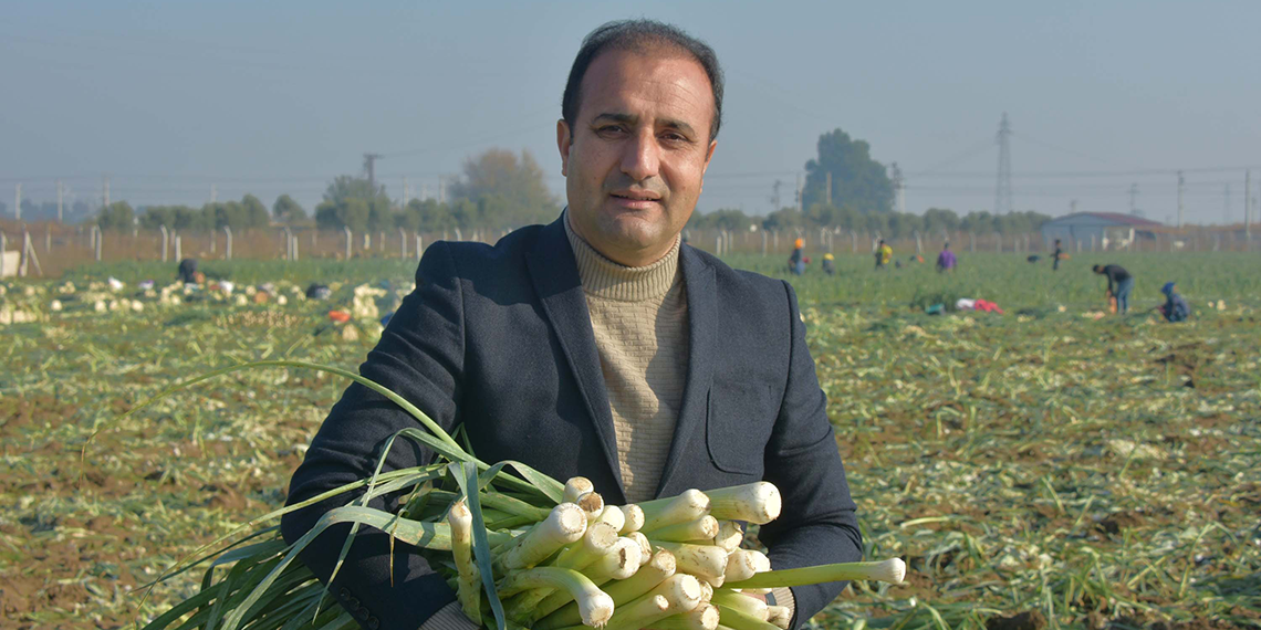 İzmir'de kuraklık arttı; kışlık sebze üretimi düştü